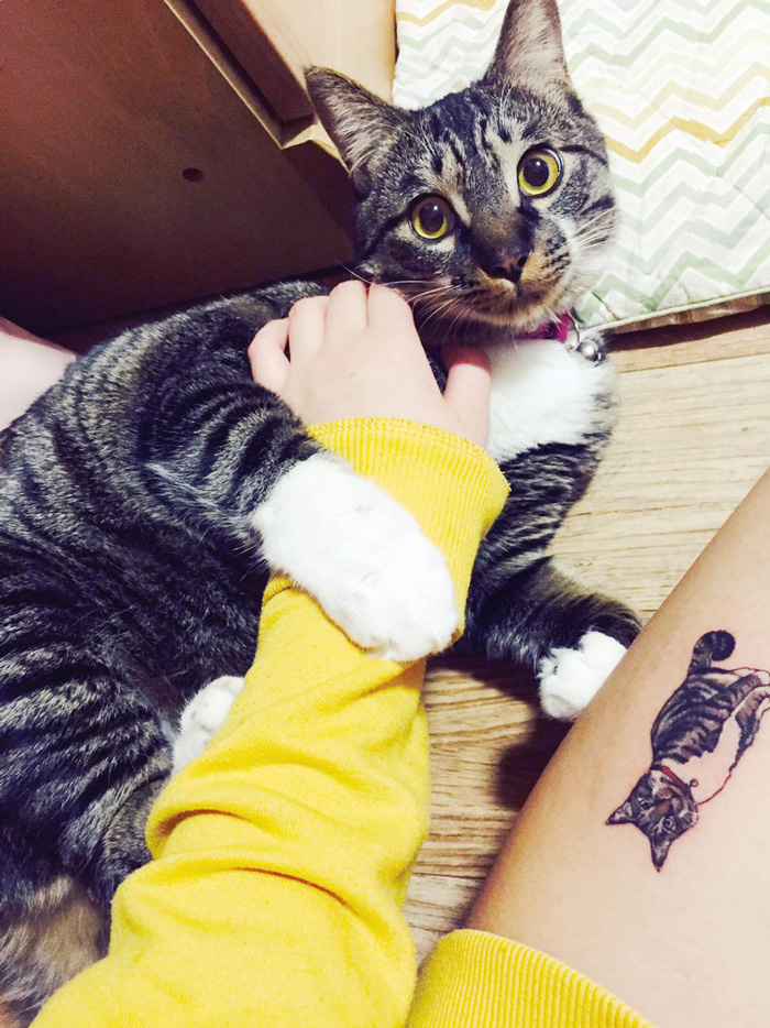 Tatuarte a tu gato 