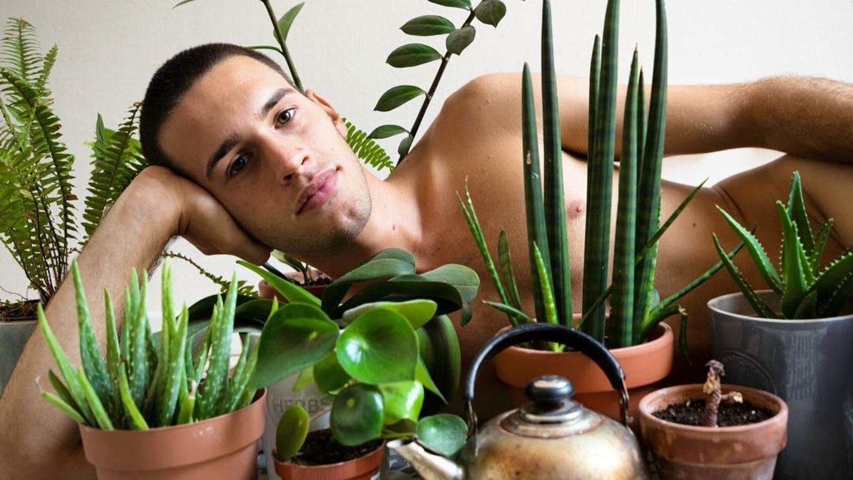 Tíos buenos con plantas