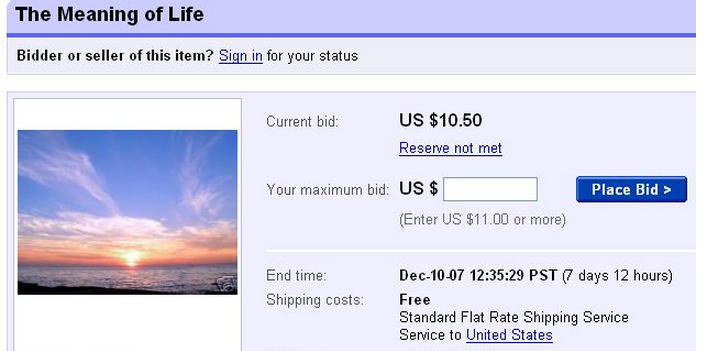 Subastas curiosas de Ebay