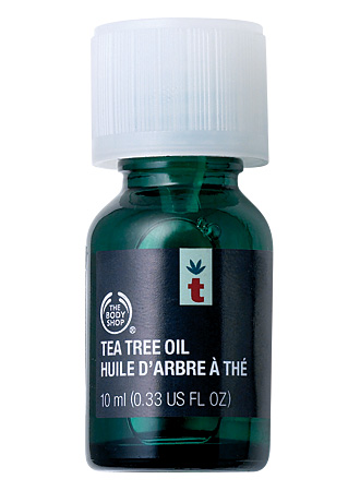 Descubre el aceite de árbol de té