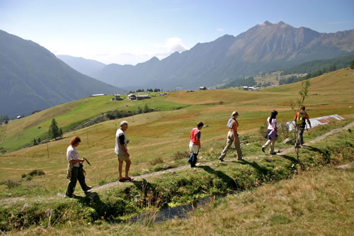 Beneficios de salir a caminar