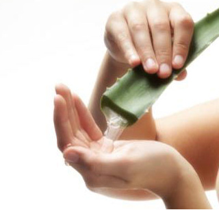 ¿Buscas una crema que te refresque? ¡Procura que tenga aloe vera!