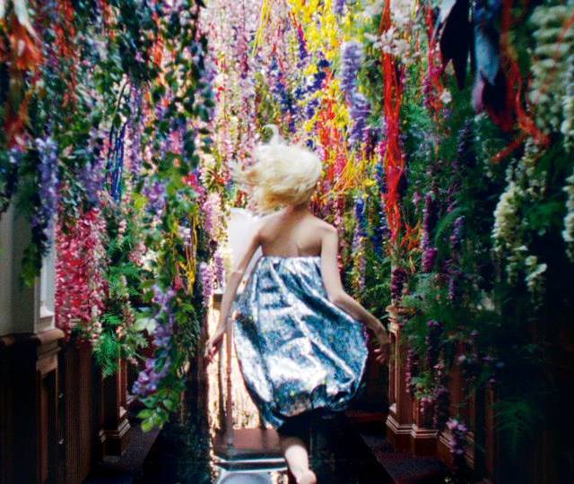 campaña dior korine