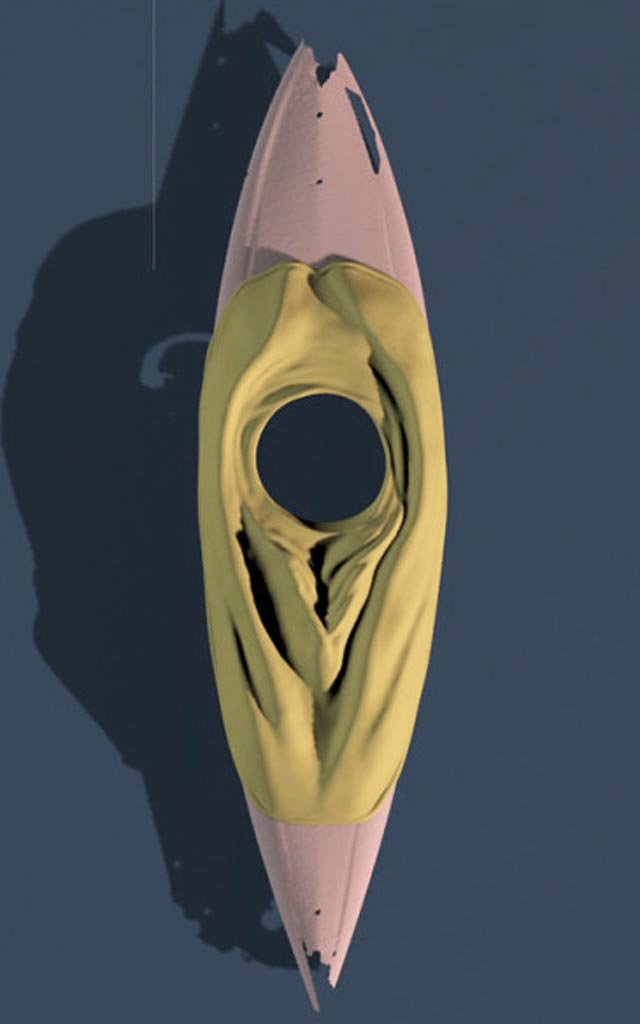 vagina 3D