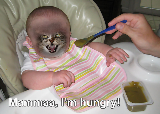 Razones para no tener hijos