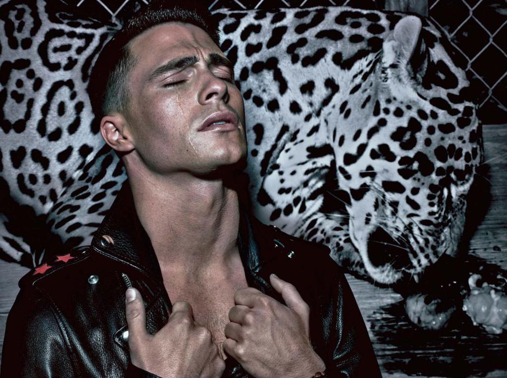 Colton Haynes para 'VMan'