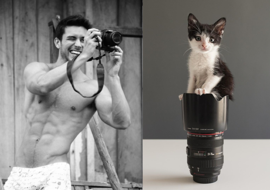 El paraíso: ¡hombres y gatitos!