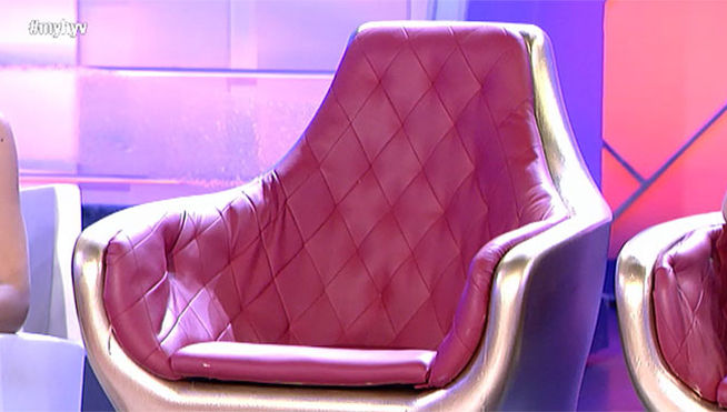 labrador nuevo tronista myhyv