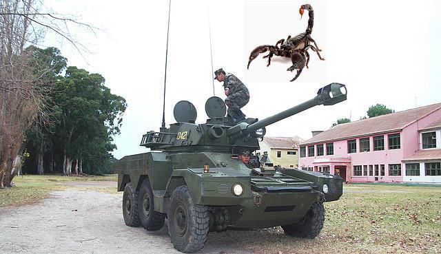 tanque alacran huevo