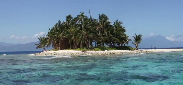 peticion prohibir caza de tiburones supervivientes