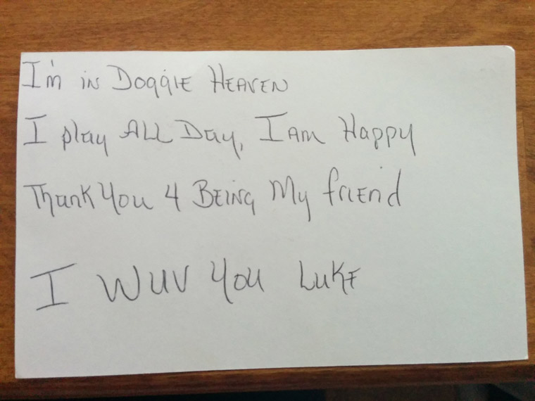 carta de un niño a su perro muerto