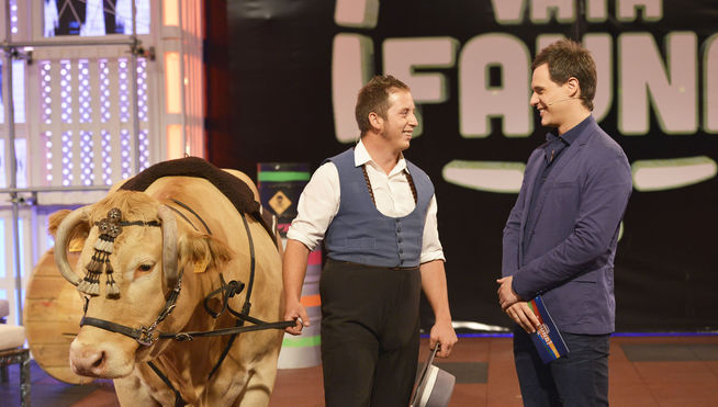 animalistas critican vaya fauna abuso animal