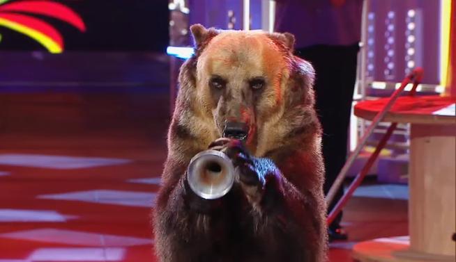 apagonvayafauna es trending topic