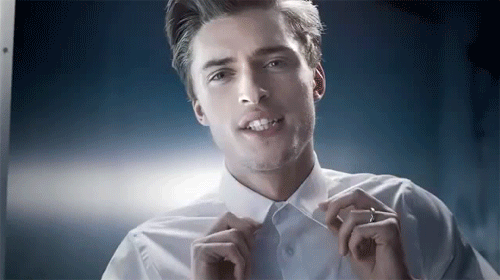 Harvey Newton Haydon