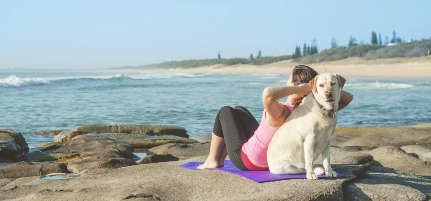 Doga: el yoga que se practica con perros