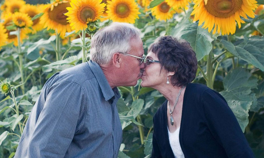 Plantó 400 girasoles para homenajear a su esposa fallecida