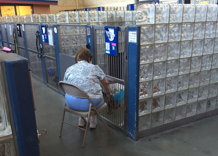 Esta mujer visita a diario a los perros de los refugios para leerles y que no estén solos