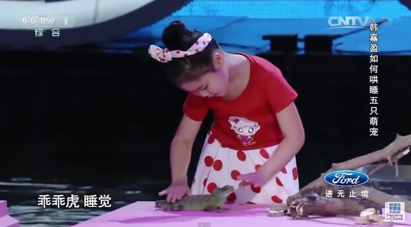 niña china hipnotiza animales en television