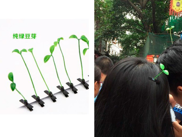 brotes verdes moda china