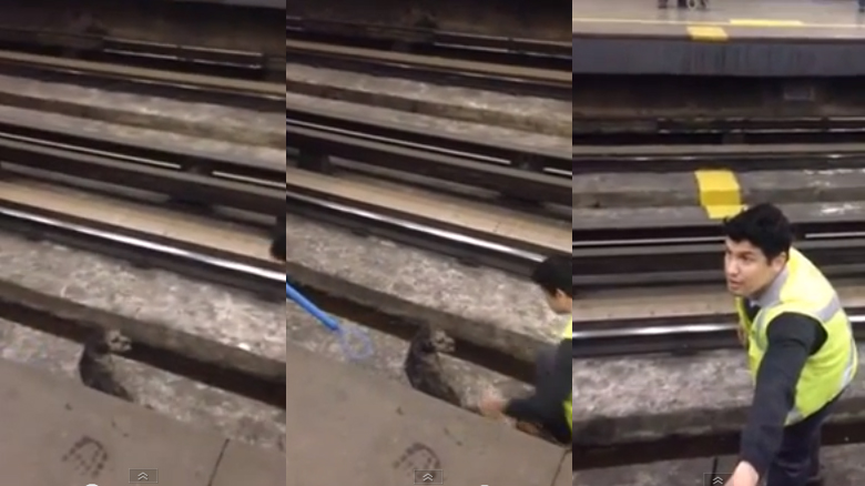 Un chófer del Metro detiene el tren para salvar a un perro