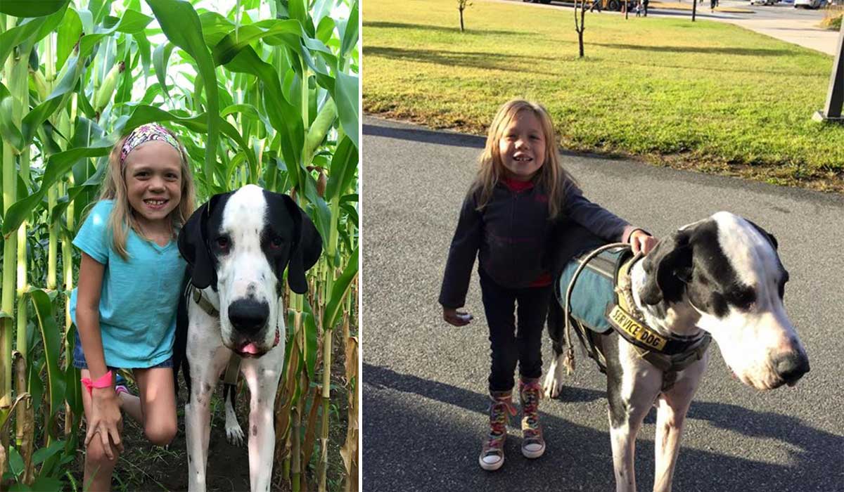 Esta niña no podía andar, hasta que conoció a este perro