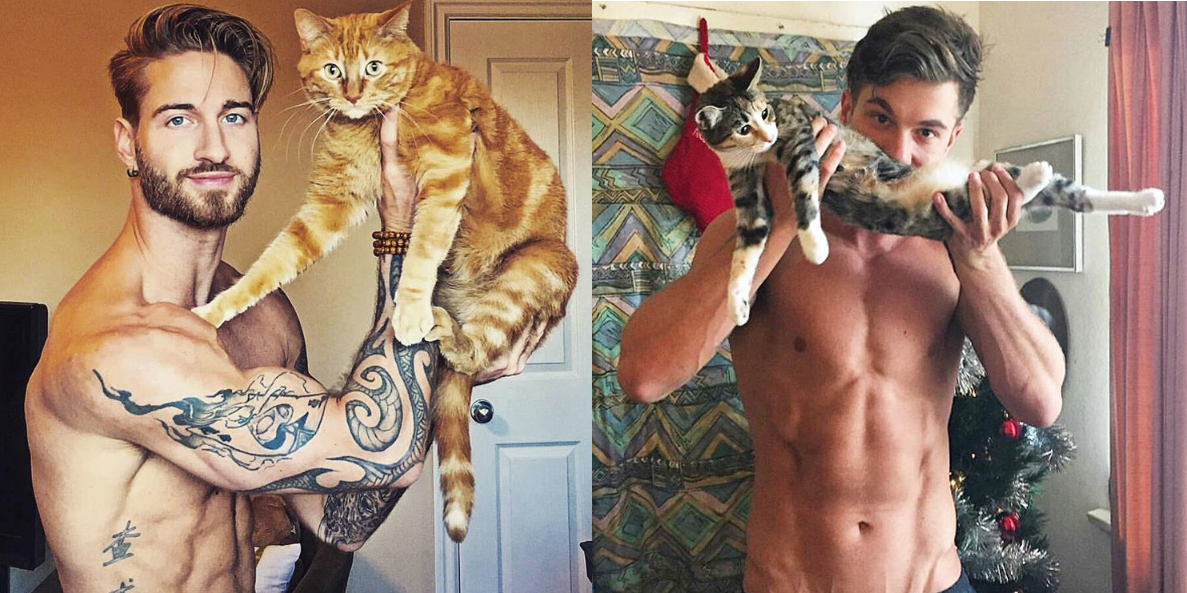 tios buenos con gatos