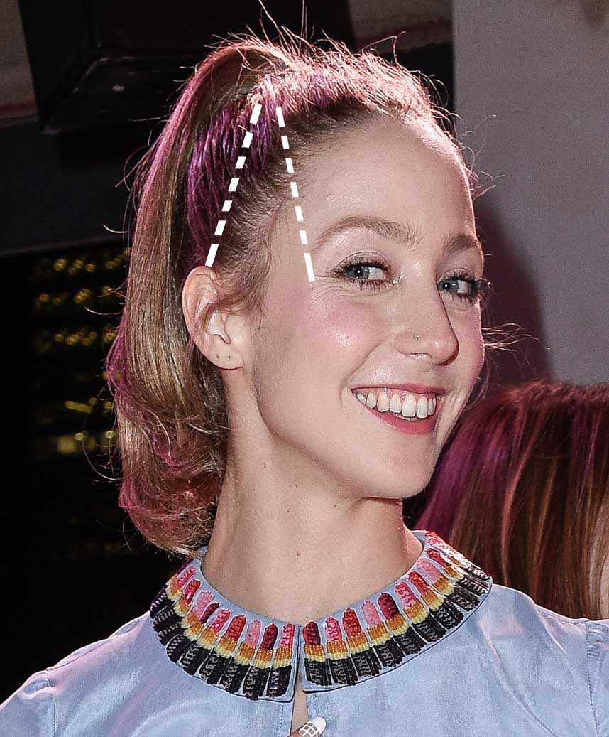 formula cola de caballo