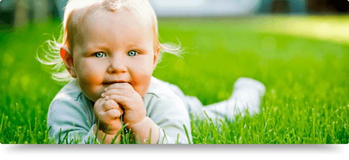 wipp estarguapas wipp estarguapas