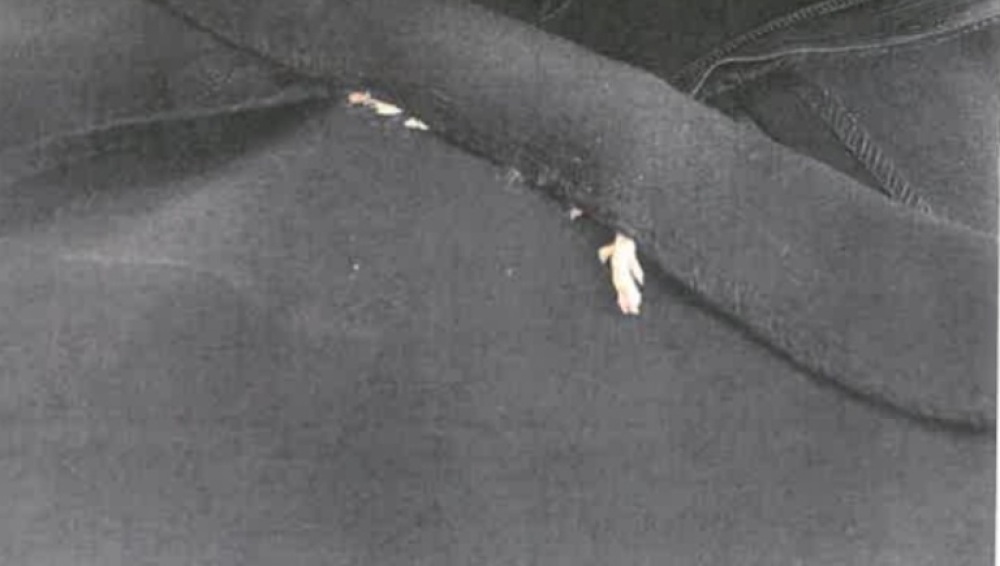 raton en un vestido de Zara