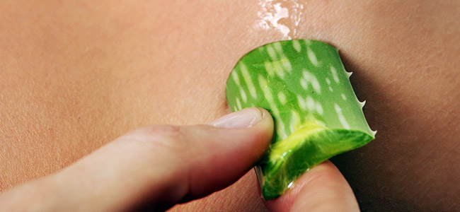 aloe vera para el rostro 