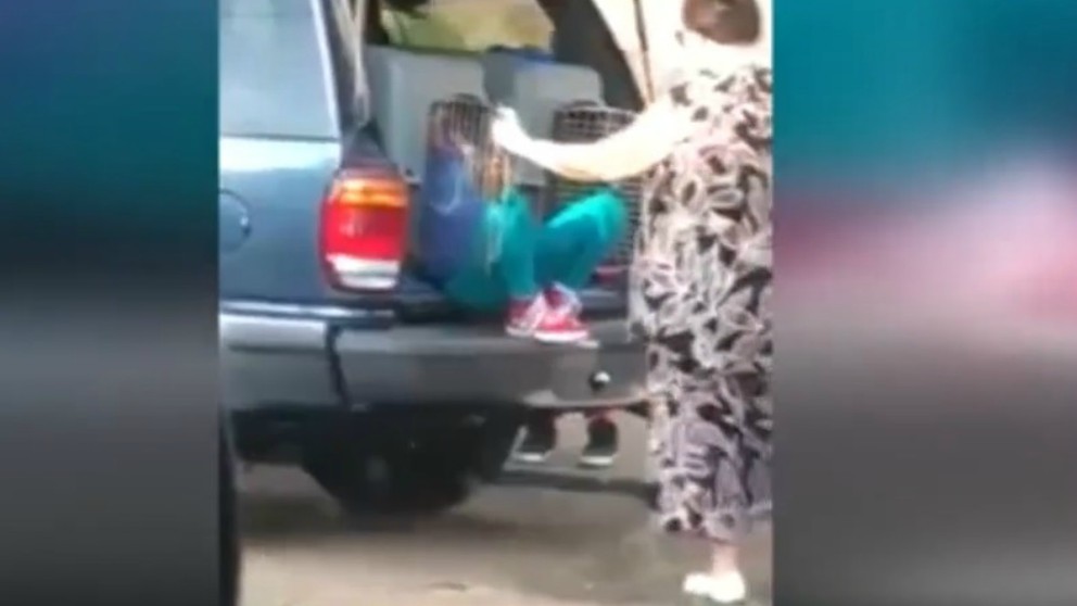 Detienen a una abuela que llevaba a sus nietos en transportines para perros