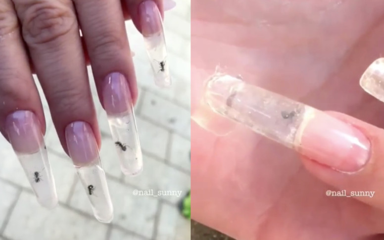 manicura hormigas vivas