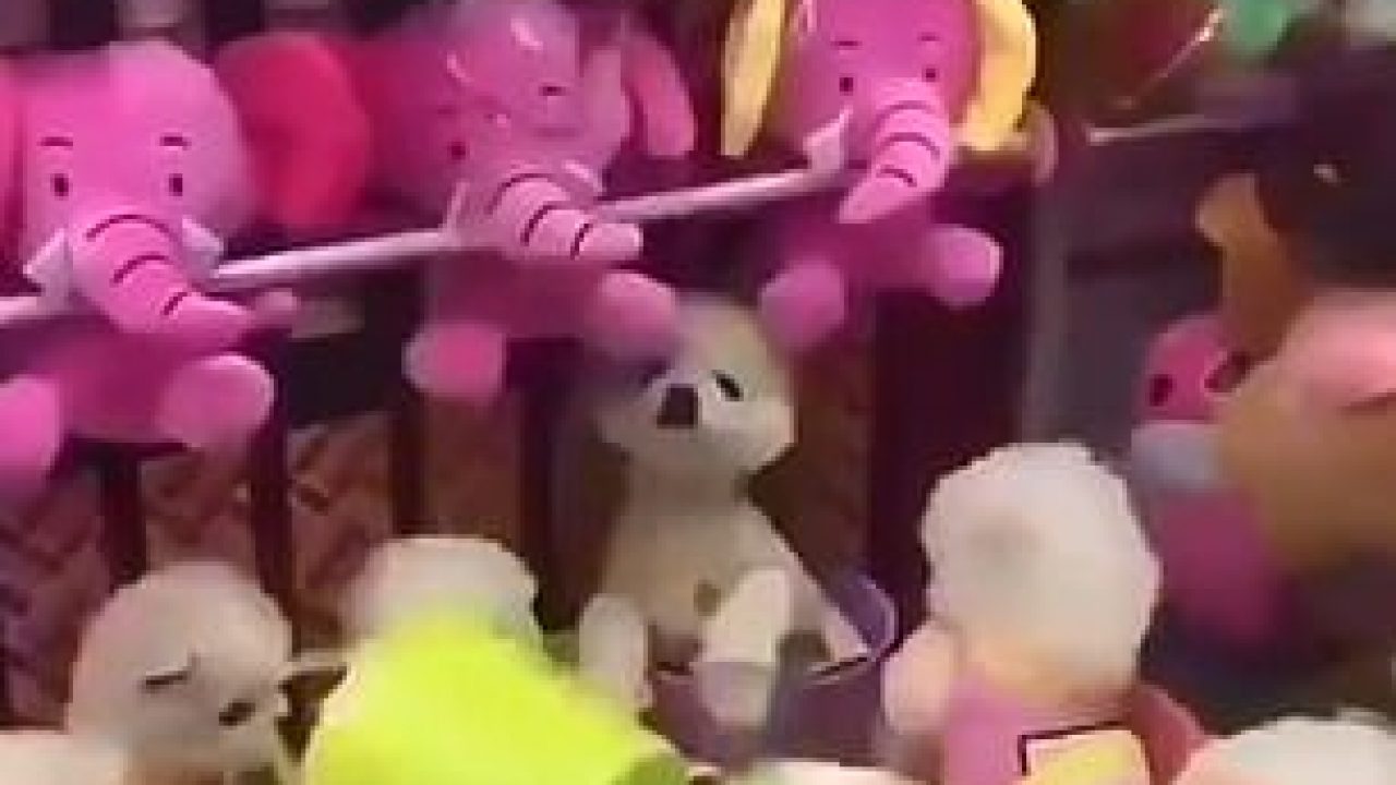 El impactante vídeo de una máquina de gancho donde el premio es un cachorro VIVO 