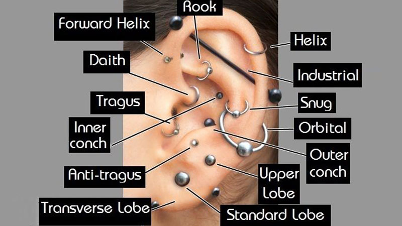 Una guía para todo tipo de perforaciones de orejas 2