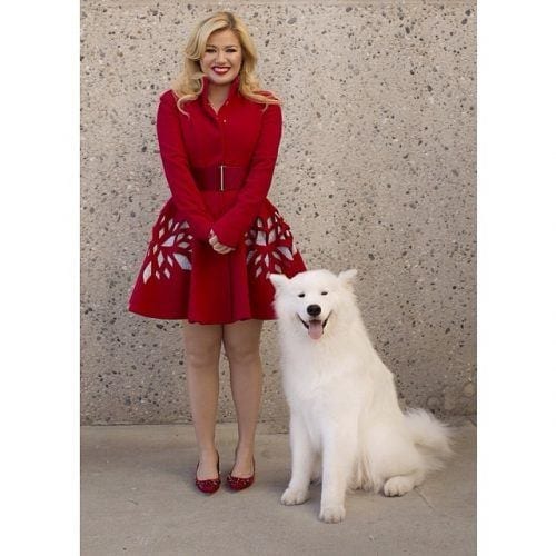 Ideas de este año para vestir como una celebrity con curvas 15