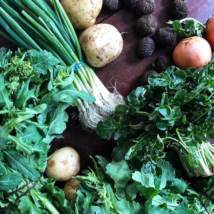 Los 7 alimentos buenos para el corazón 3