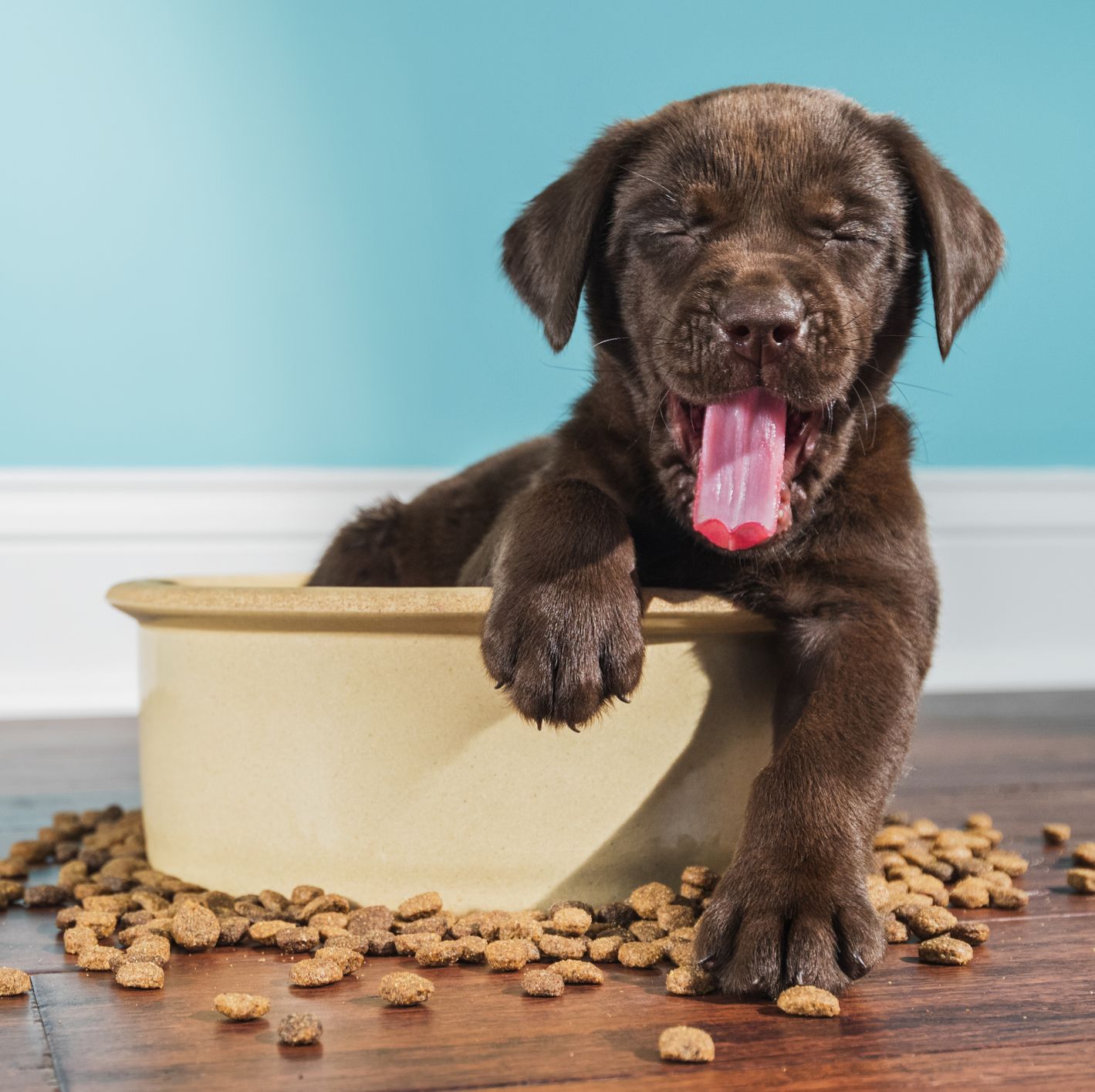 6 Causas para el coma alimenticios 1