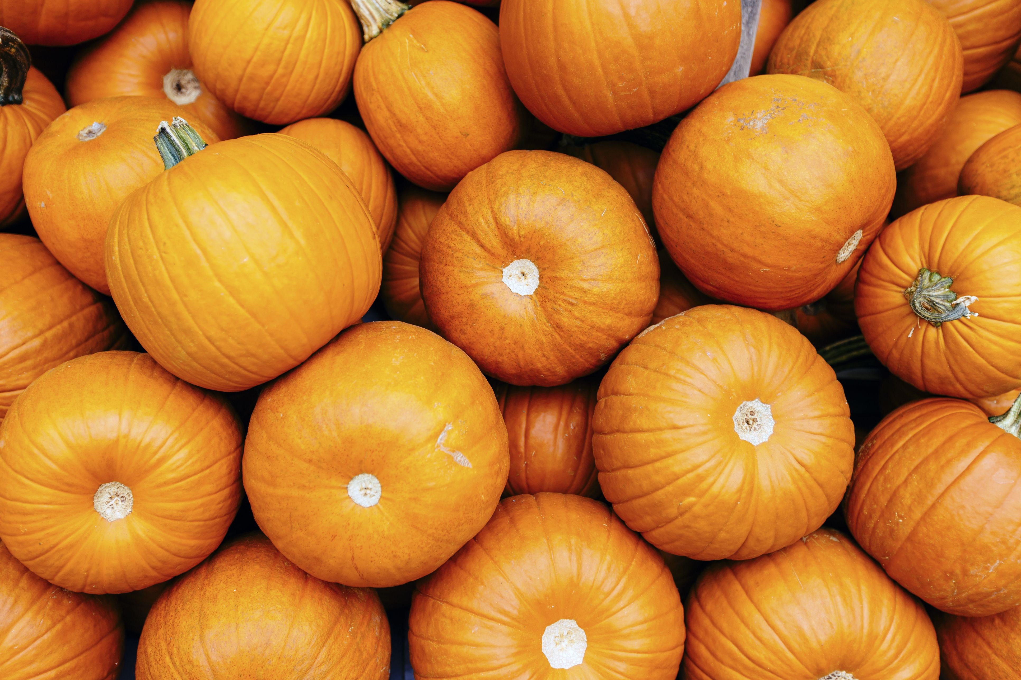 9 beneficios y propiedades de la calabaza