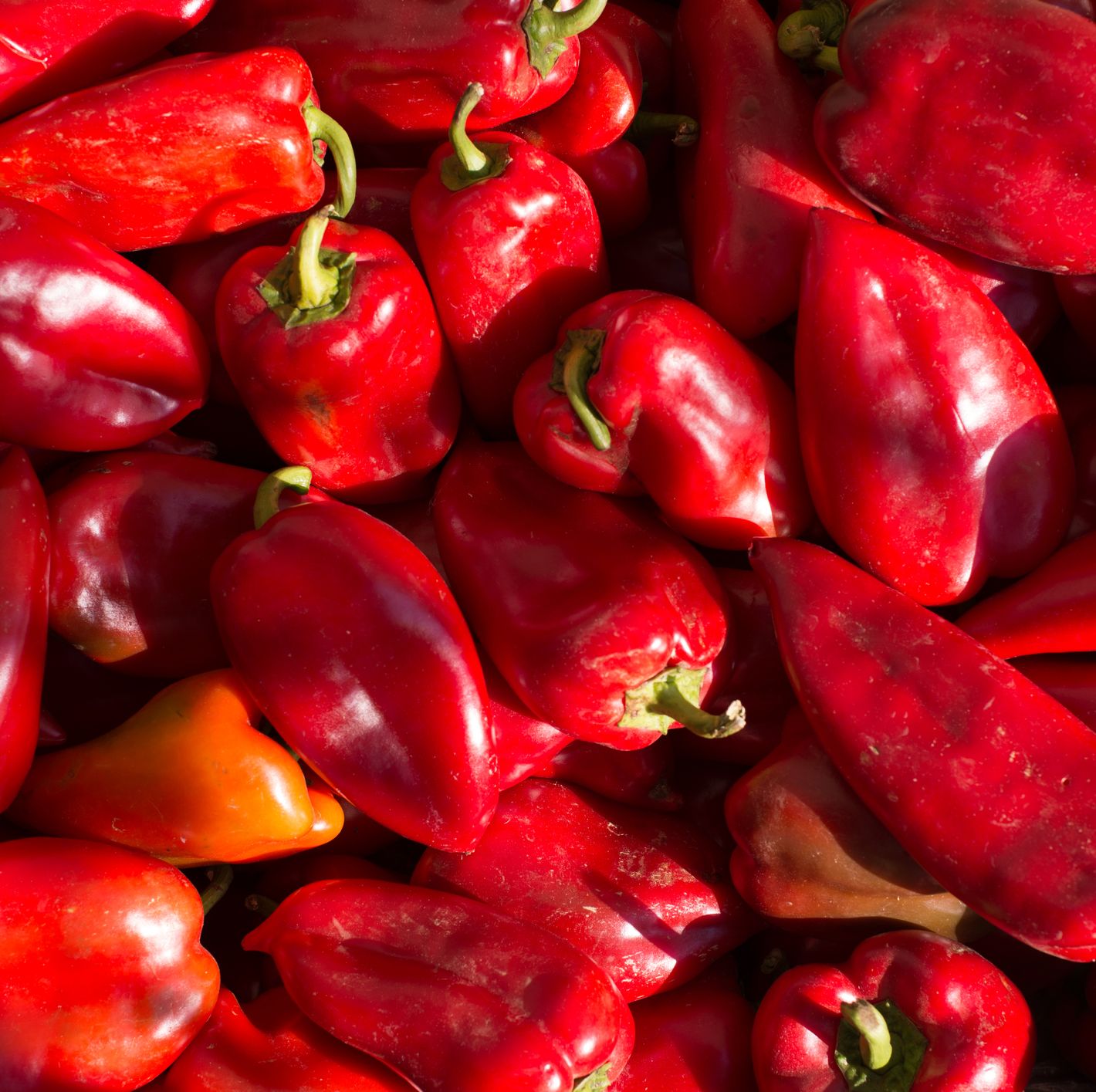 Collagen-Rich Foods Collagen-Rich Foods