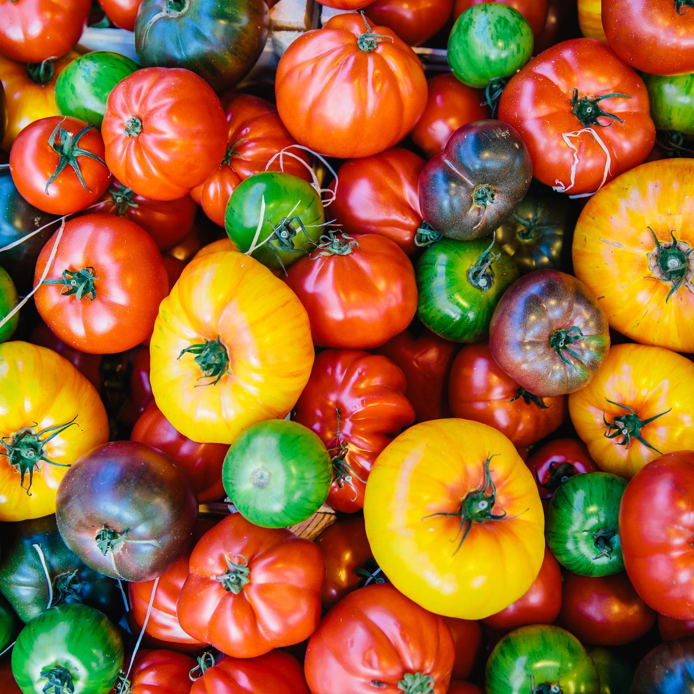 Collagen-Rich Foods Collagen-Rich Foods