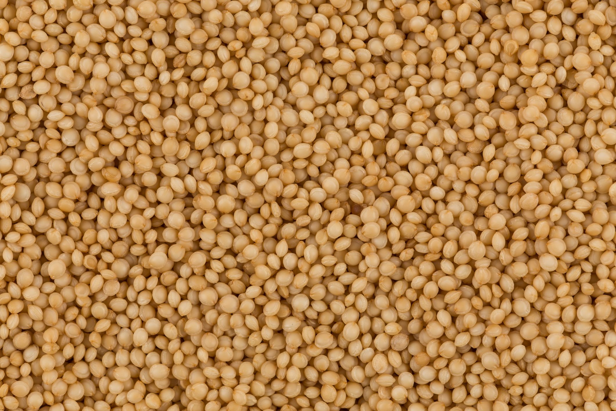 popped amaranth grain