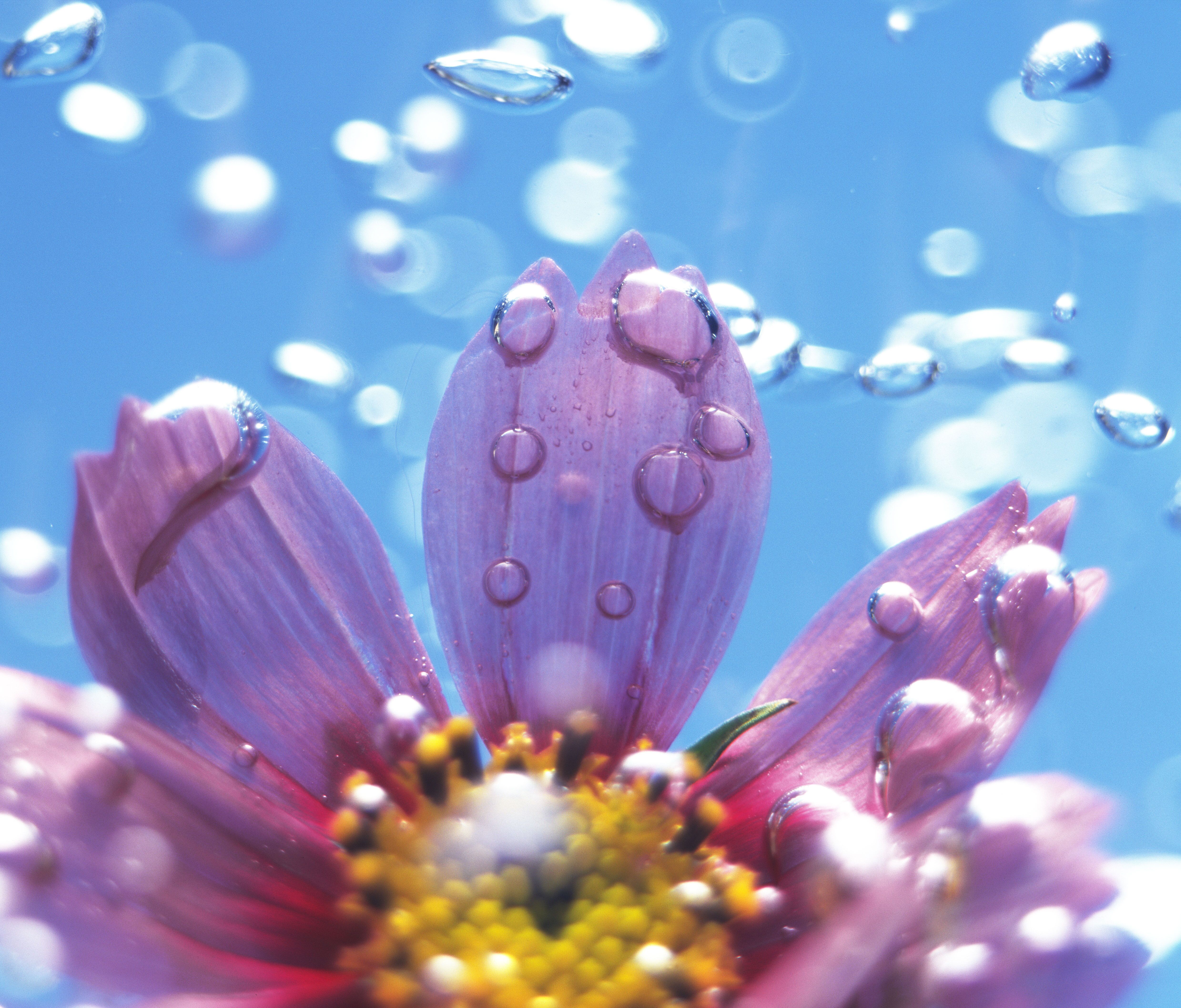 ¿Qué es la "unión de fluidos" y debería siquiera considerarlo?