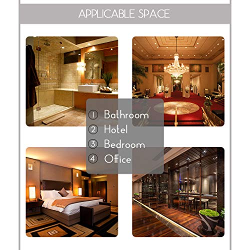 100% puro Ginger Aceite Perfumado para difusor, 0,33oz-10ml Aromaterapia Jengibre Aceite Esencial para humidificador, grado terapéutico jengibre fragancia aceite esencial para masaje, Casa