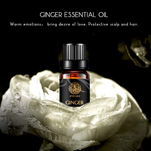 100% puro Ginger Aceite Perfumado para difusor, 0,33oz-10ml Aromaterapia Jengibre Aceite Esencial para humidificador, grado terapéutico jengibre fragancia aceite esencial para masaje, Casa