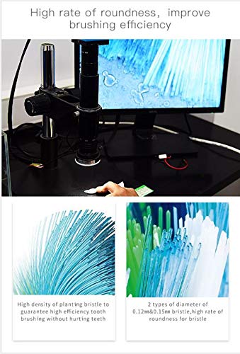 16 piezas Cabezales de repuesto para cepillos de dientes compatibles con los cepillos Oral B Rotación de cabeza redonda D4510 D12013 D12013W D12523 D17525 D18 D19523 D19545 D20523 D20545 (16)