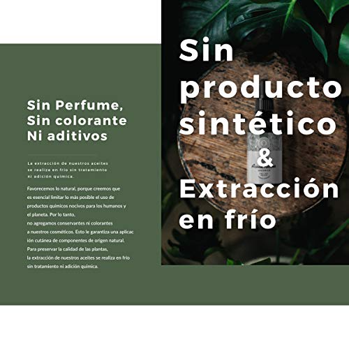 50ml Aceite de ricino orgánico, prensado en frío, puro - Estimula y fortalece el crecimiento del cabello, barba, pestañas, cejas, uñas, cutículas y piel - Botella de vidrio, pincel y brocha