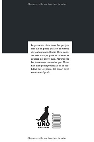 A través de mis pequeños ojos