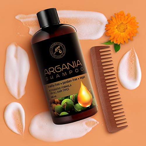 Aceite de Argan 480ml - Shampoo con Aceite de Argán Natural y Extractos de Hierbas - para Todo Tipo de Cabello - Fórmula Reparadora Especial para Hombres - Cuidado del Cabello - Argan Oil Champu