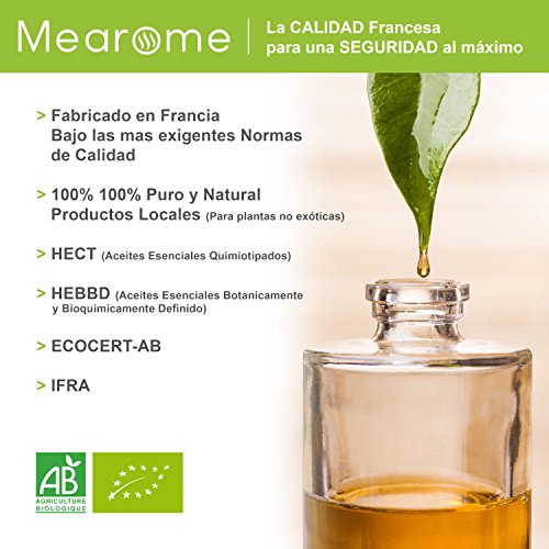 Aceite Esencial de Lavanda Puro 30 ml, 100% Natural y Bio | Antiséptico Favorece el Sueño Relajación Masajes Terapéuticos | Ideal para Humidificador Ultrasónico Aromaterapia | Fabricado en Francia