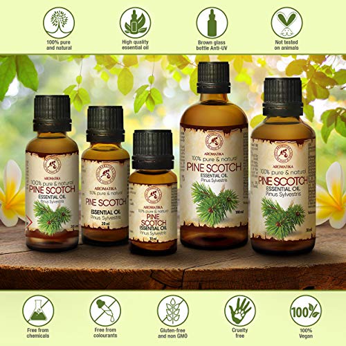 Aceite Esencial de Pino Escocés 100ml - Pinus Sylvestris - Austria - 100% Puro & Natural - Mejor para Aromaterapia - Relájese - para la Belleza - Difusor - SPA - Pine Scotch Essential Oil
